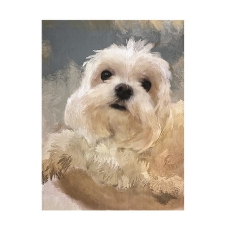 Lois Bryan Photography And Digital Art 'Happy Maltese Pup' Canvas Art,24x32